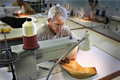 manufacturing